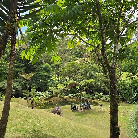 Monteverde Casa Mia, Near Main Attractions And Town! Dış mekan fotoğraf