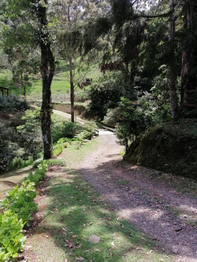 Monteverde Casa Mia, Near Main Attractions And Town! Dış mekan fotoğraf