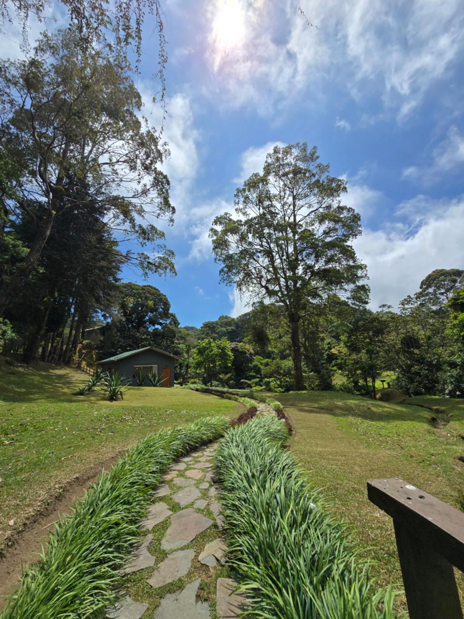 Monteverde Casa Mia, Near Main Attractions And Town! Dış mekan fotoğraf