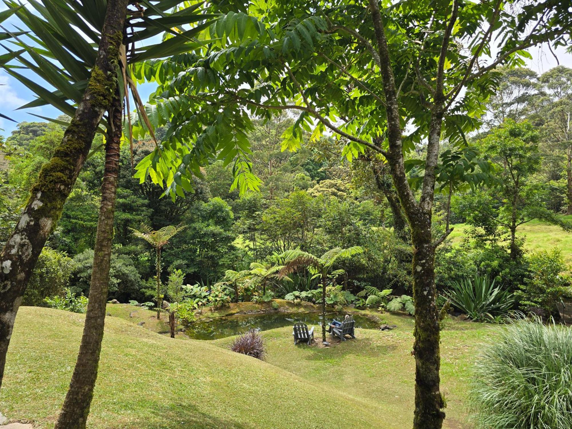 Monteverde Casa Mia, Near Main Attractions And Town! Dış mekan fotoğraf