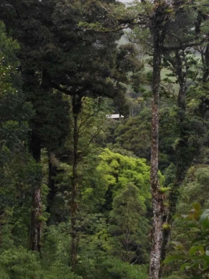 Monteverde Casa Mia, Near Main Attractions And Town! Dış mekan fotoğraf