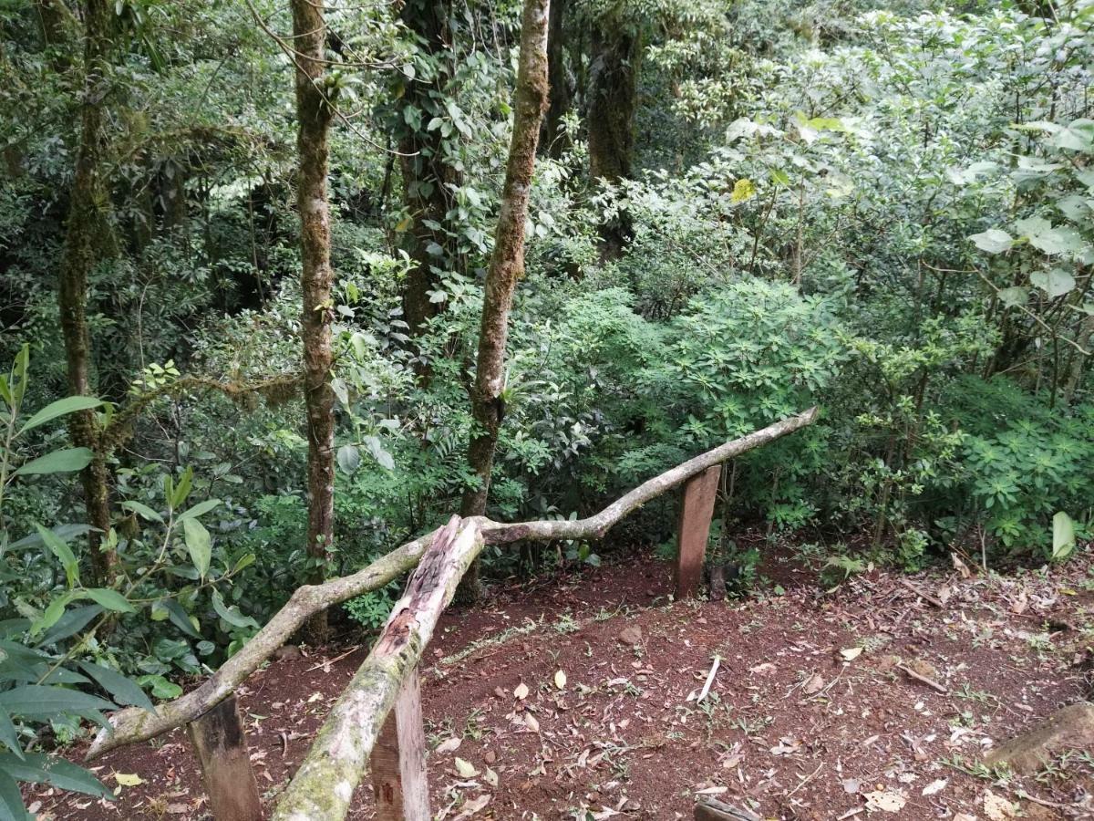 Monteverde Casa Mia, Near Main Attractions And Town! Dış mekan fotoğraf